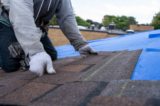 Best Roof Gutter Cleaning  in North Merritt Island, FL